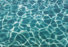 Zu den früheren Publikationen