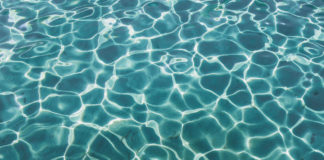 Zu den früheren Publikationen