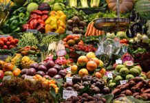 Freitagsansprache: Esst von den erlaubten Dingen