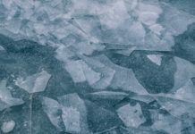 Freitagsansprache: Das viele Reden und Lachen