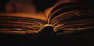 Die Zeichen der Stunde