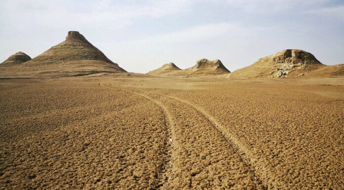 ʿĪd-Gebet und Ansprache zum ʿĪdu l-Adhā 2014