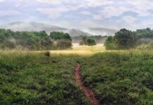 Freitagsansprache: Die Imāmah – Vorbild im Dīn