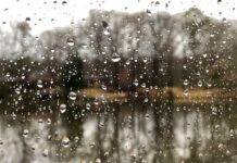 Freitagsansprache: Der richtige Umgang mit den mehrdeutigen Texten